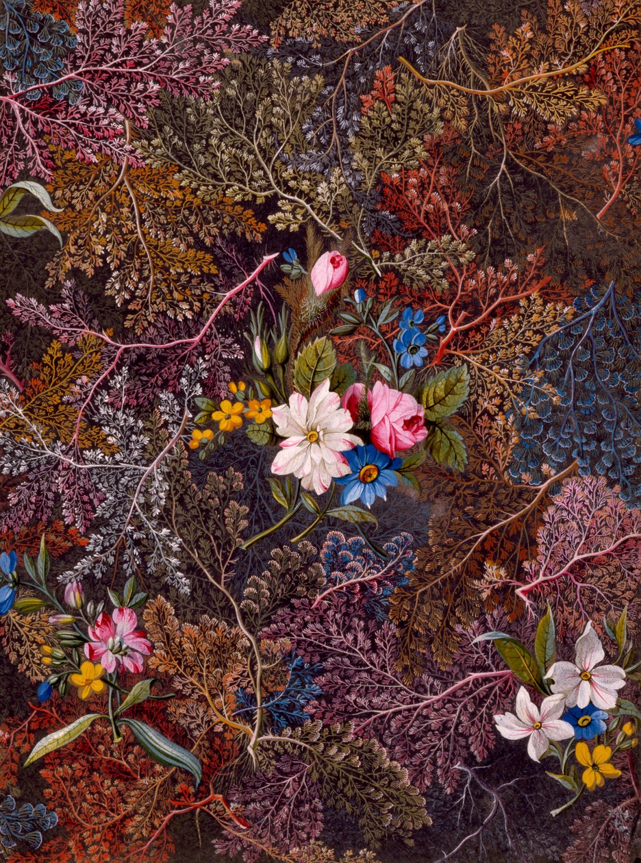 Tekstildesign, c.1788-92 af William Kilburn
