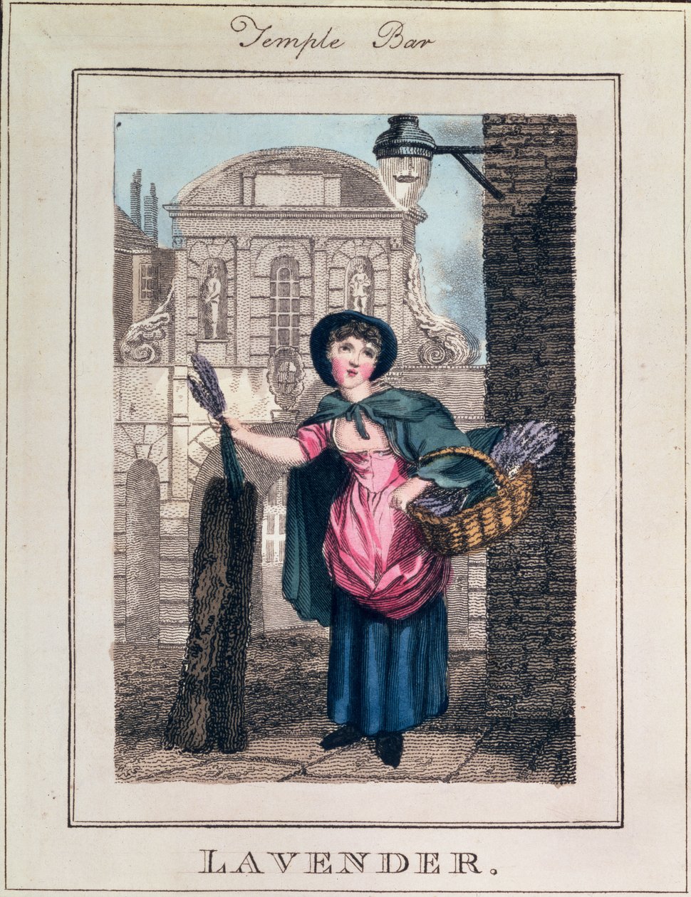 Lavendel, Temple Bar, fra "Cries of London", udgivet af Richard Phillips (1778-1851) 1804 af William Marshall Craig