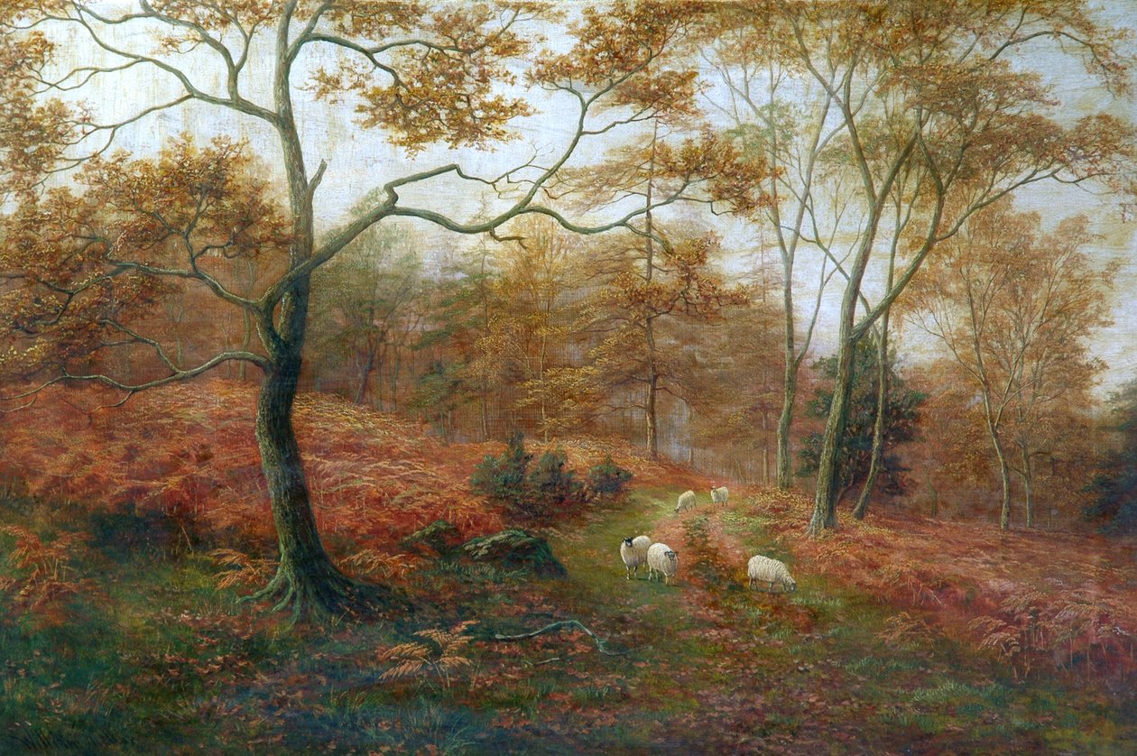 Bolton Woods, Yorkshire af William Mellor