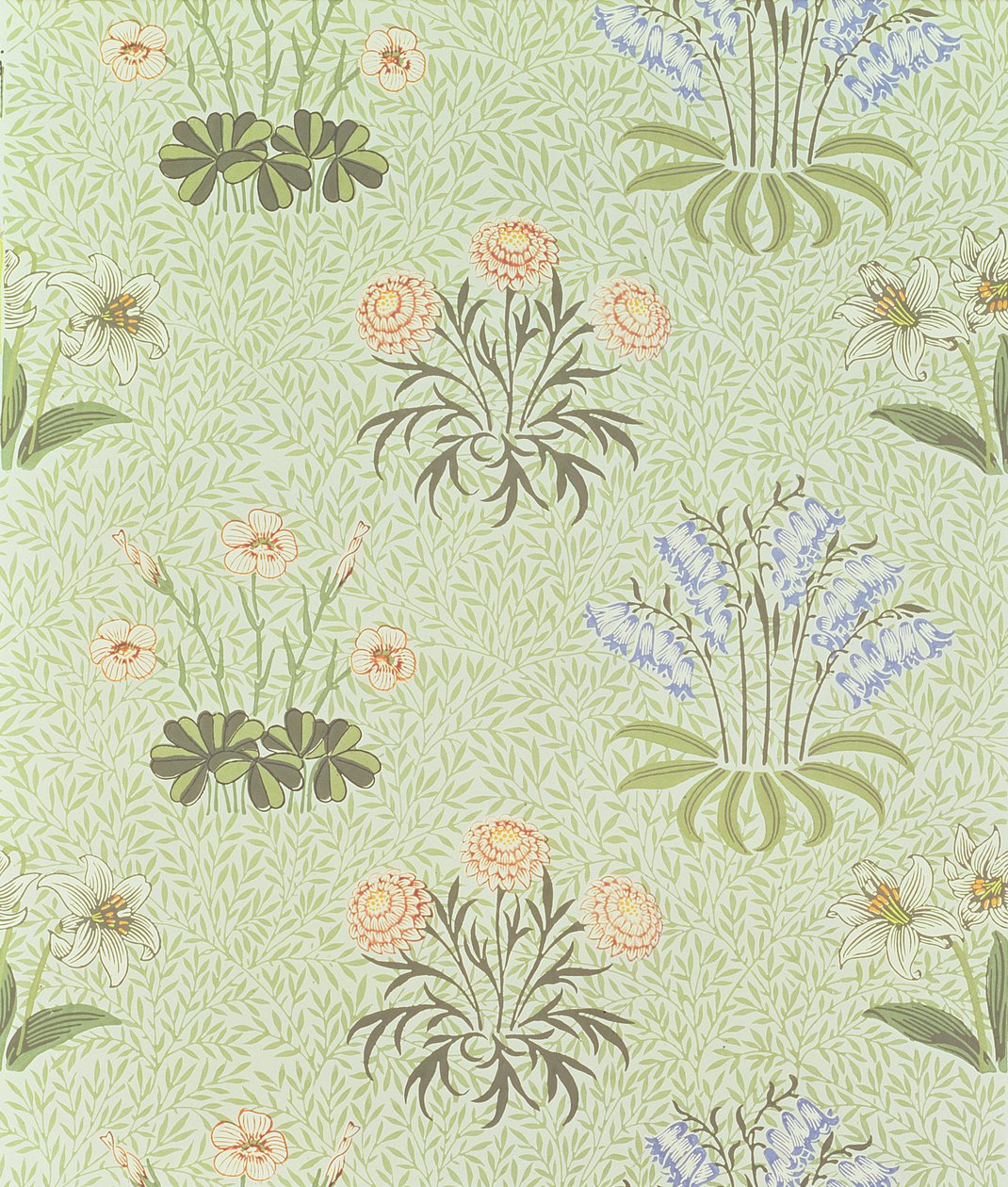 Tapet med margueritmønster med liljekonvaler og andre vilde blomster på en "pilebaggrund", designet af William Morris (1834-96) 1862 af William Morris