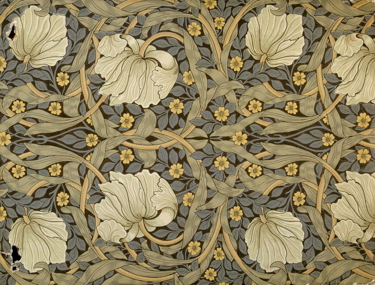 Pimpernell, design til tapet, 1876 af William Morris