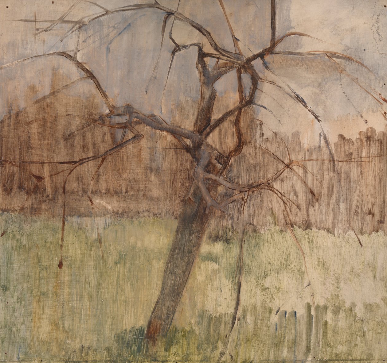 Æbletræ, 1963 af William Packer