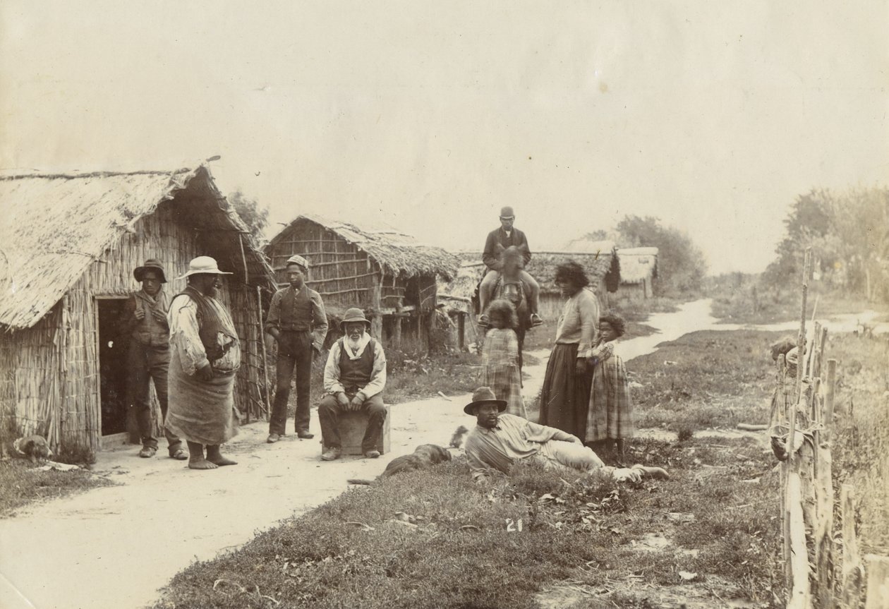 Kaiwhaiki pa, Upokongaro, ca. 1895 (sølv gelatinetryk) af William Partington