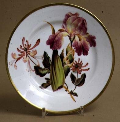 Derby desserttallerken dekoreret med iris og kaprifolium, ca. 1795 (porcelæn) af William Quaker attributed to Pegg