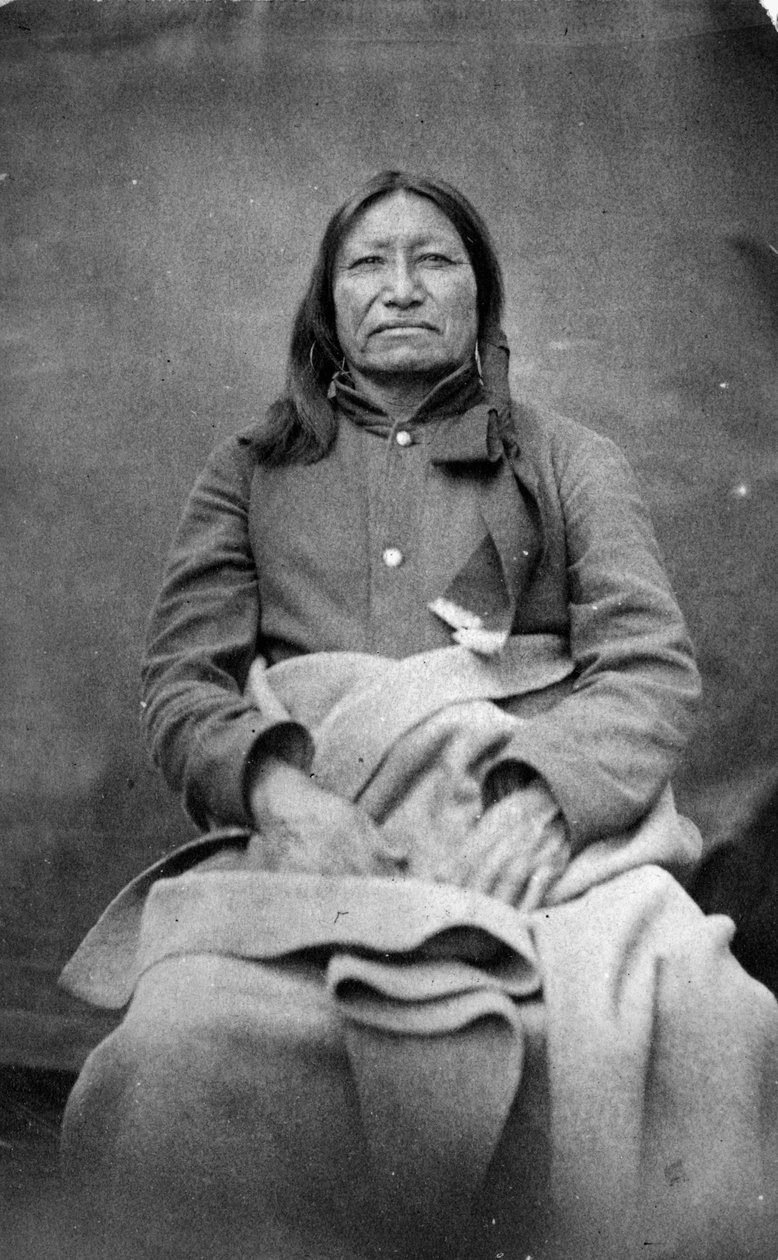 Plettet hale, Sioux-høvding, ca. 1870 af William Richard Cross