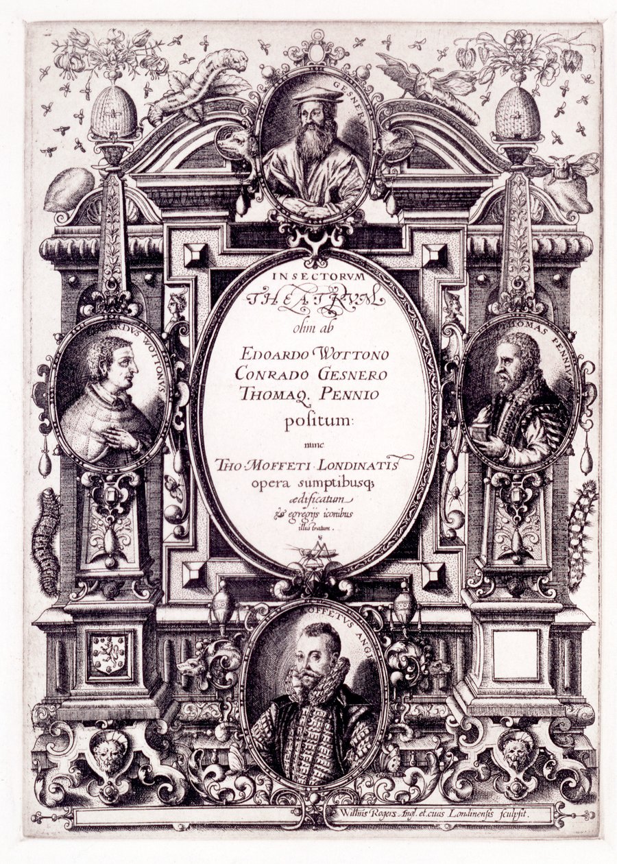 Titelblad til Moffeti Theatrum Insectorum, slutningen af 1590