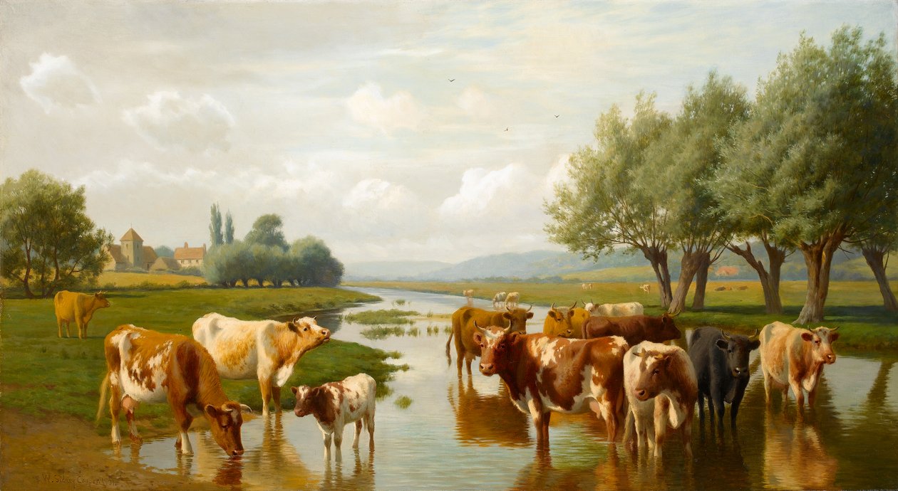 Kvæg i en vandeng nær Thanington, Kent, 1901 af William Sidney Cooper