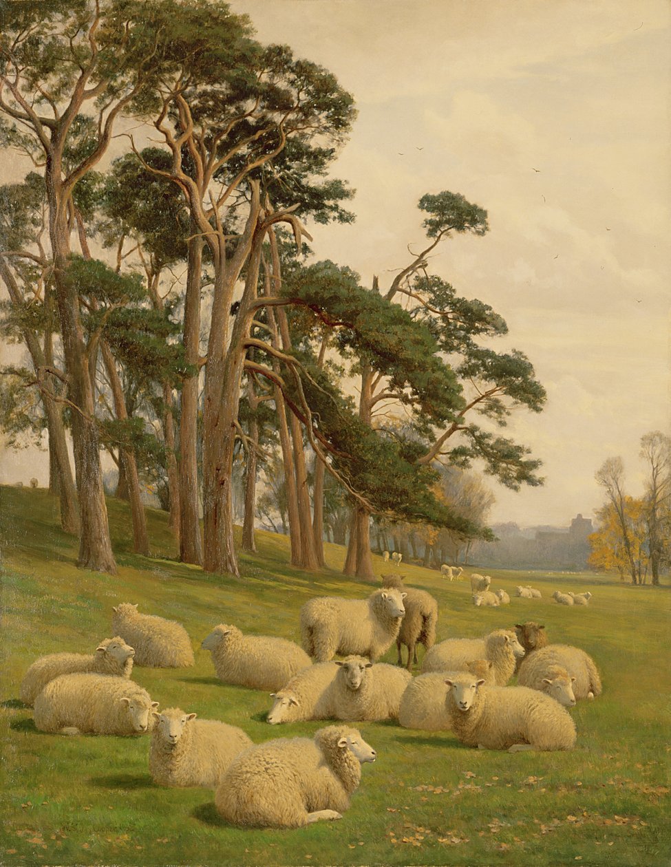 Solbeskinnede græsgange af William Sidney Cooper