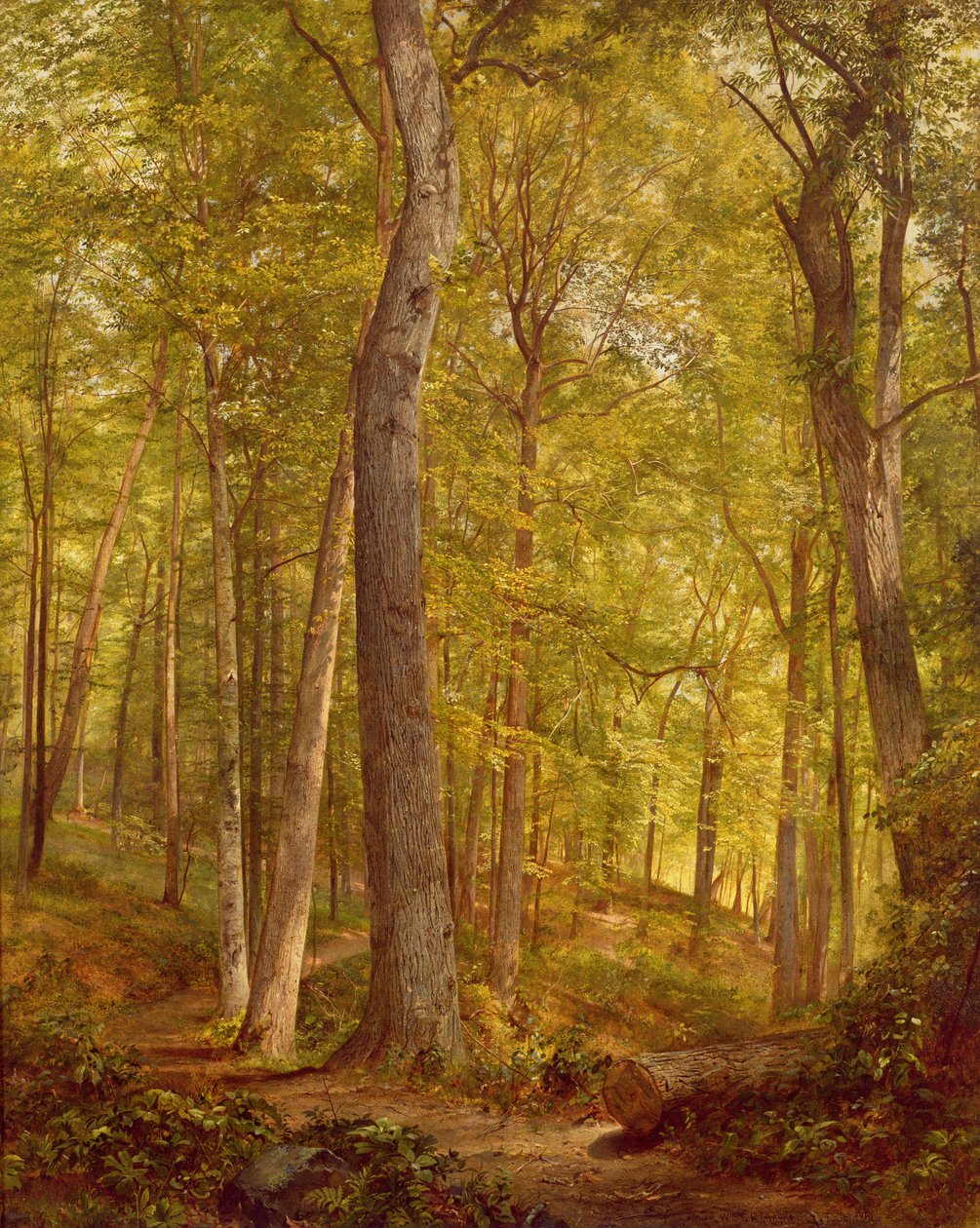 June Woods, Pennsylvania, 1864 af William Trost Richards
