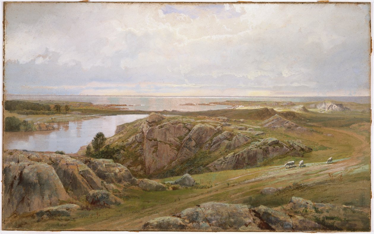 Lily Pond, Newport, 1877 (wc på papir) af William Trost Richards