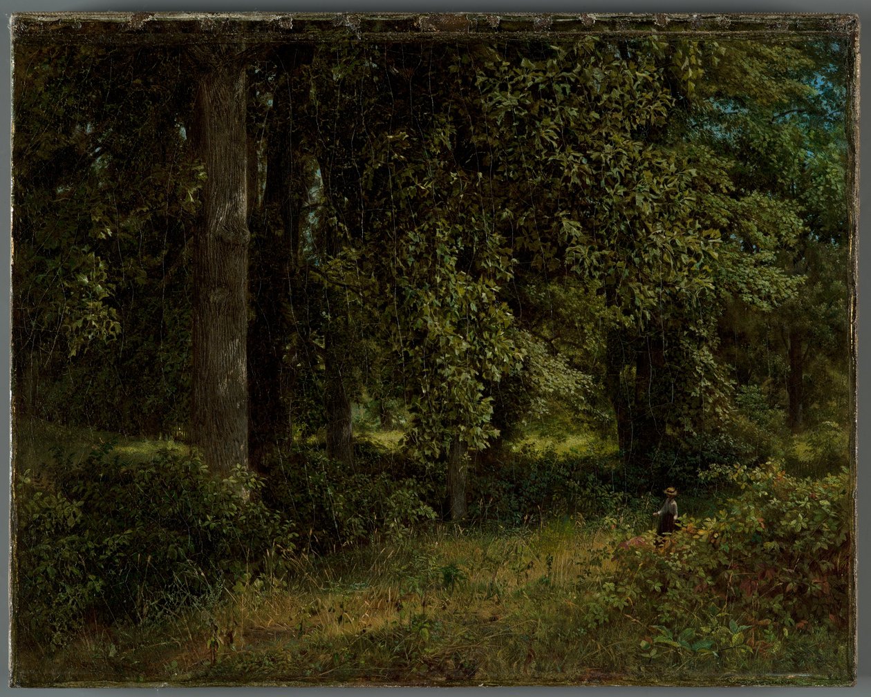 Tulipantræer, 1859 af William Trost Richards