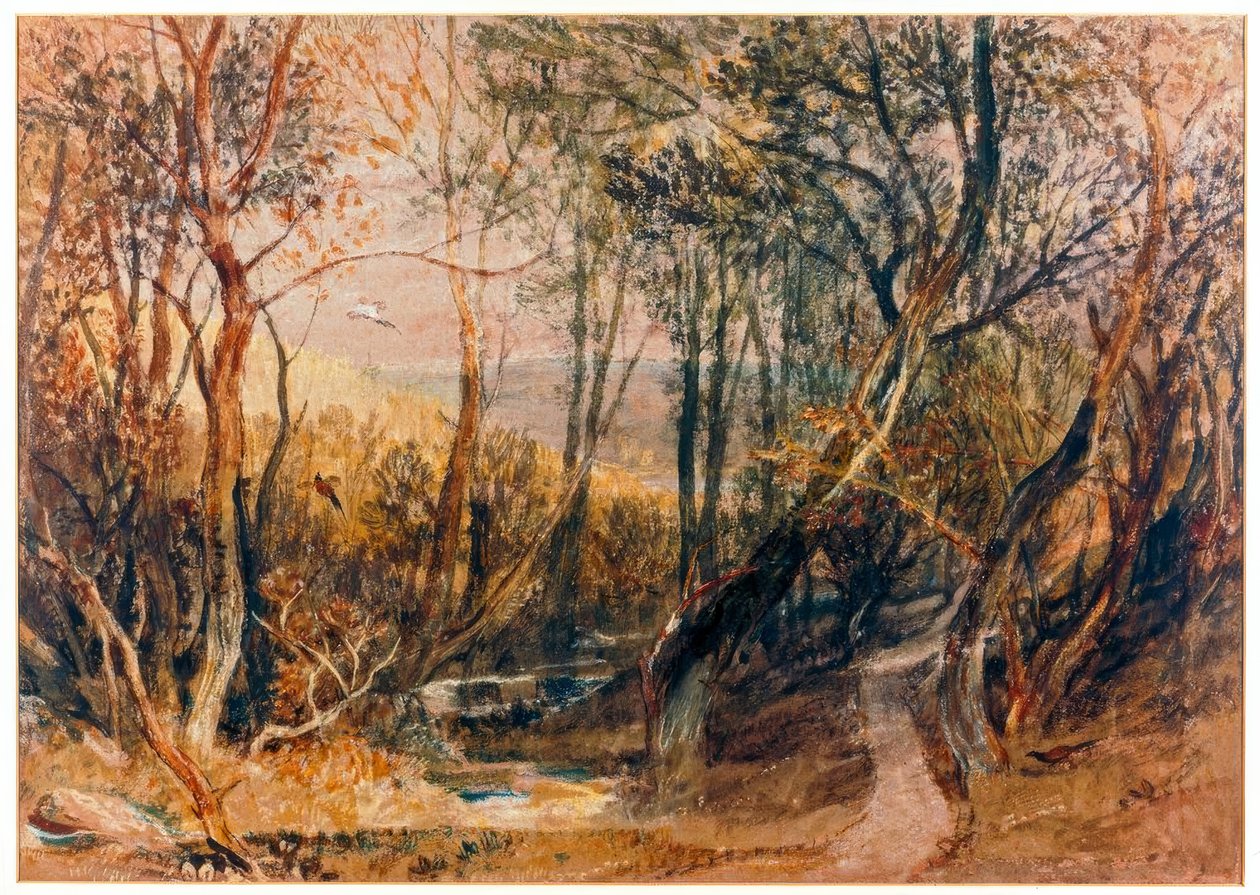 Skovscene af Joseph Mallord William Turner