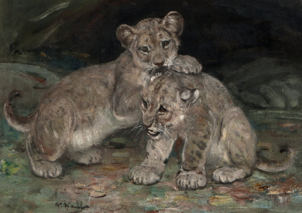 Løveunger, ca. 1906 af William Walls