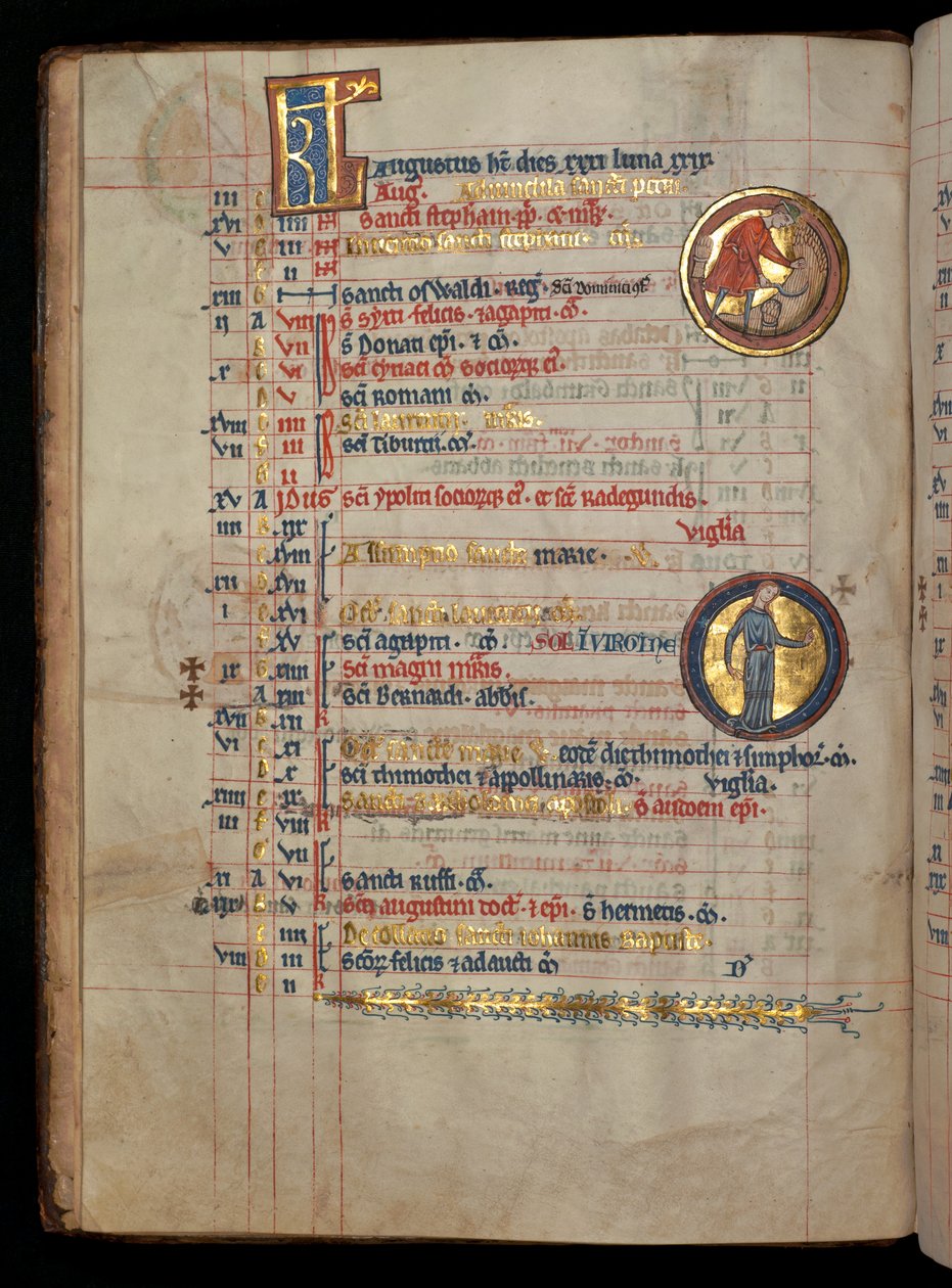 Ms 322 f.4v, August, en mand skærer majs, illustration fra 