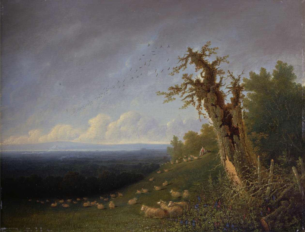 Shepherd Boy on a Hillside (olie på panel) af Joseph Mallord William Turner