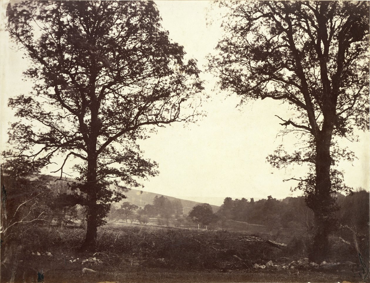 Landskab med elme, Ashdown, Storbritannien af William 2nd Earl of Craven
