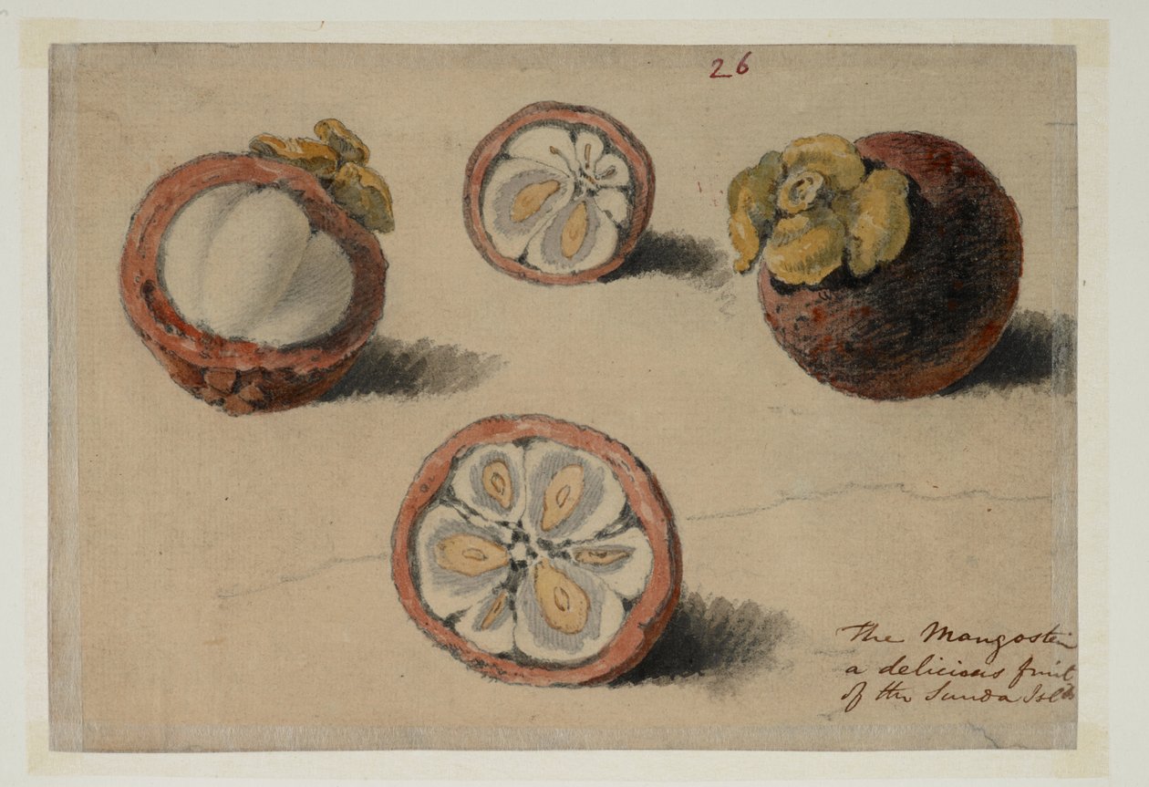 WD 961 f.26 af William Alexander