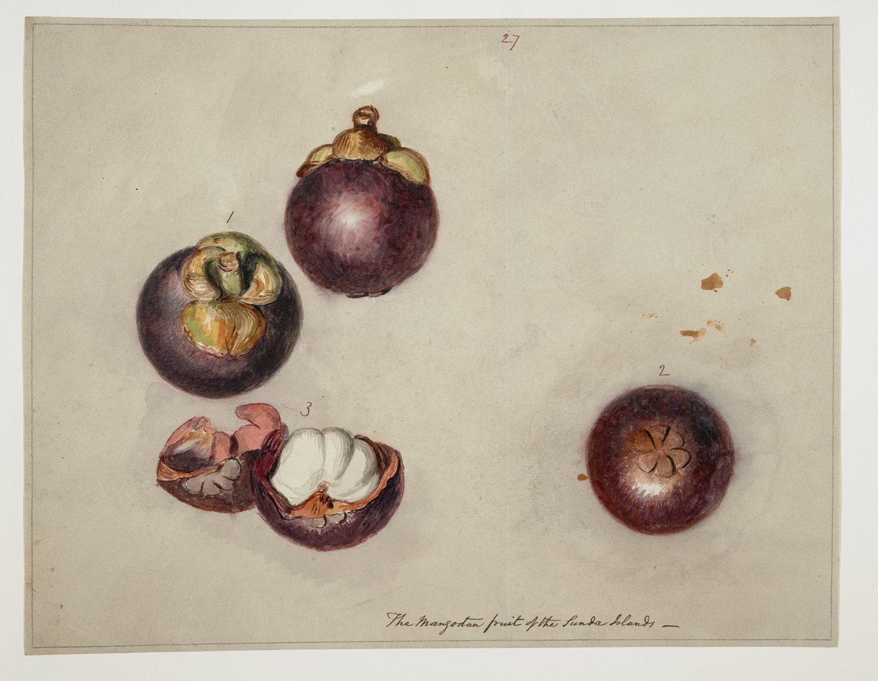 WD 961 f.27 af William Alexander