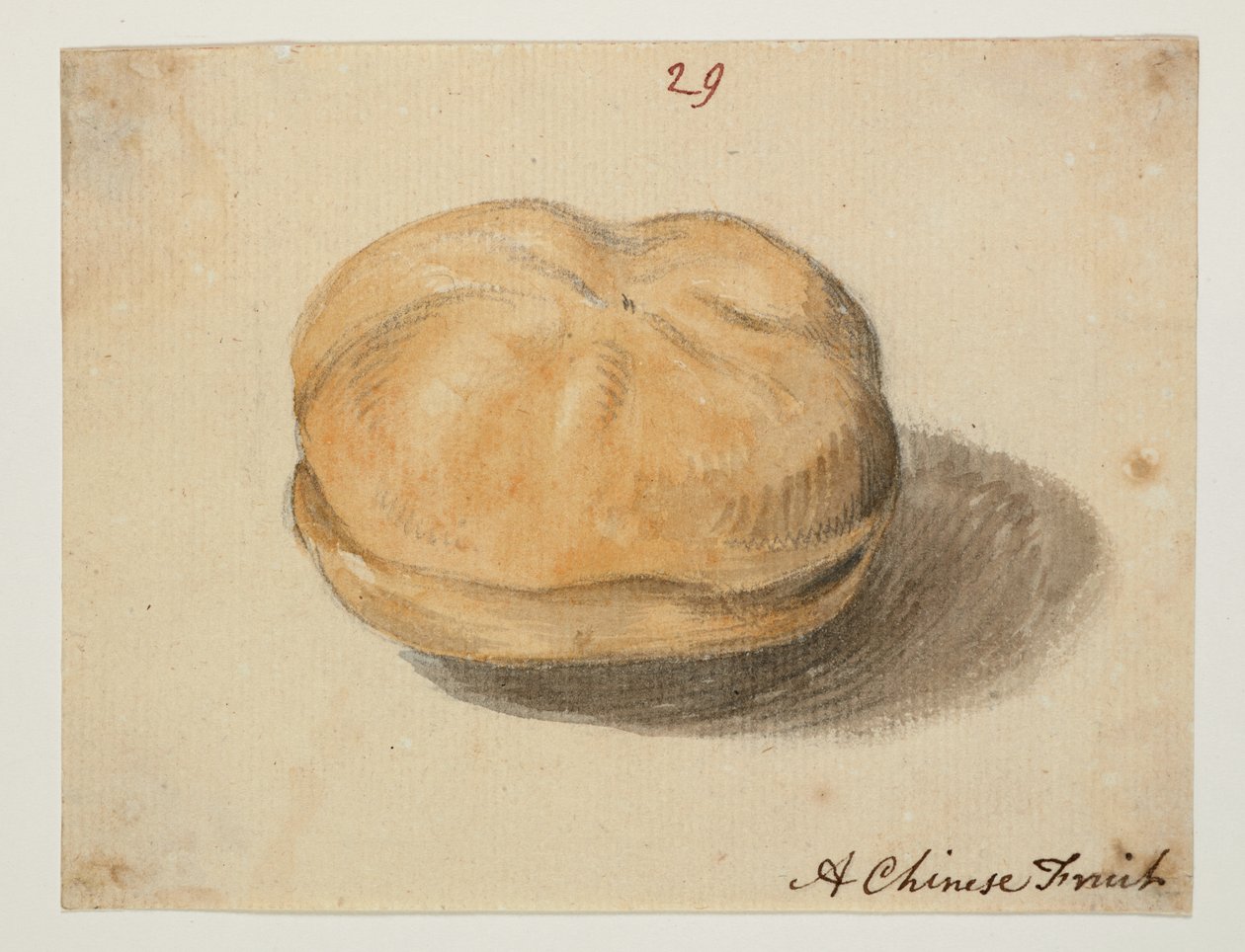 WD 961 f.29 af William Alexander