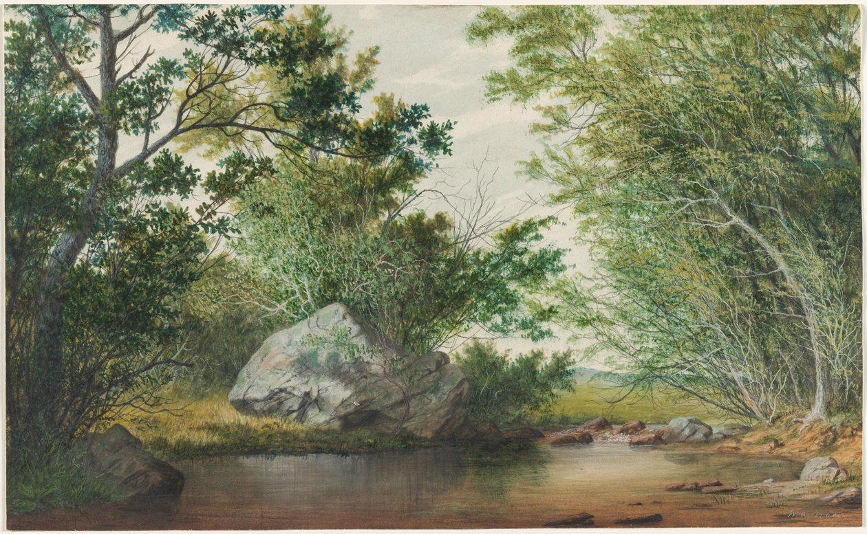 Landskab med skovklædt strøm og kampesten, ca. 1880