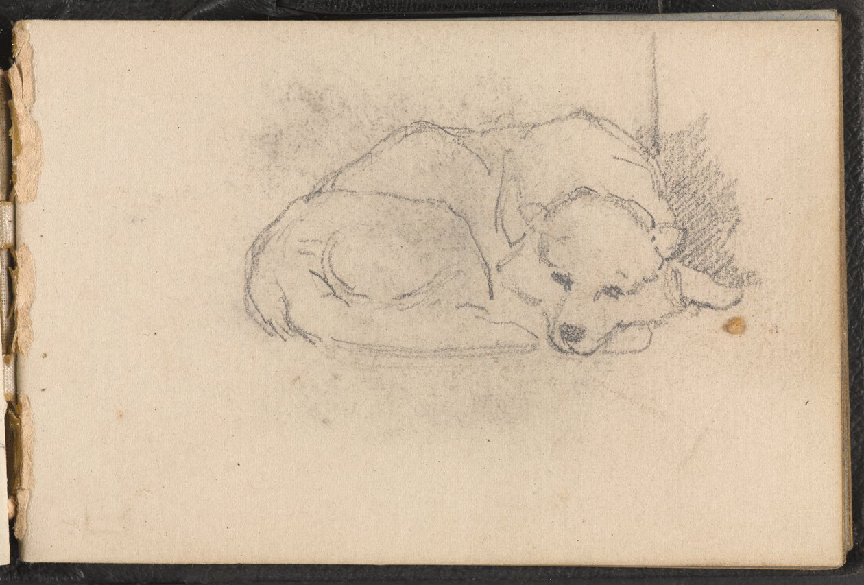 Skitse af en sovende hund, 1879 ca af William Barnes Wollen