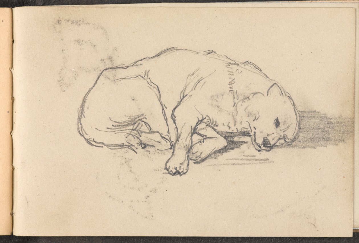 Skitse af en sovende hund, 1879 ca af William Barnes Wollen