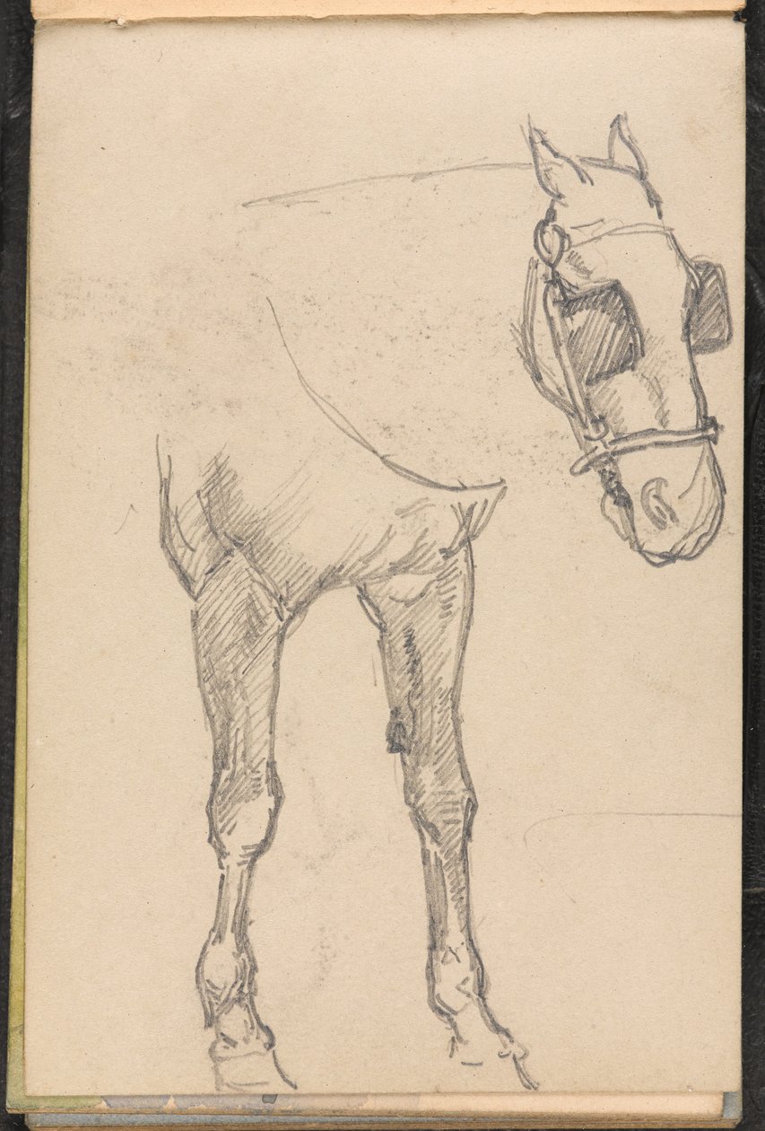 Skitse af hest med blink, 1879 ca af William Barnes Wollen