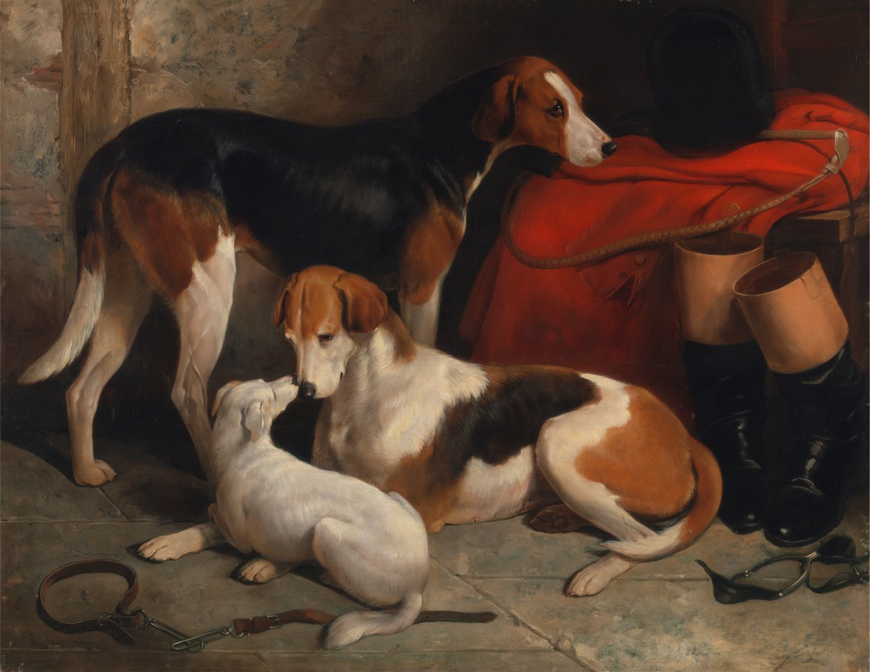 Et par Foxhounds med en terrier, Lord Henry Bentincks ejendom af William Barraud