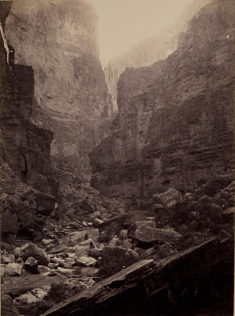 Cañon of Kanab Wash, Colorado -floden, kigger mod nord af William Bell