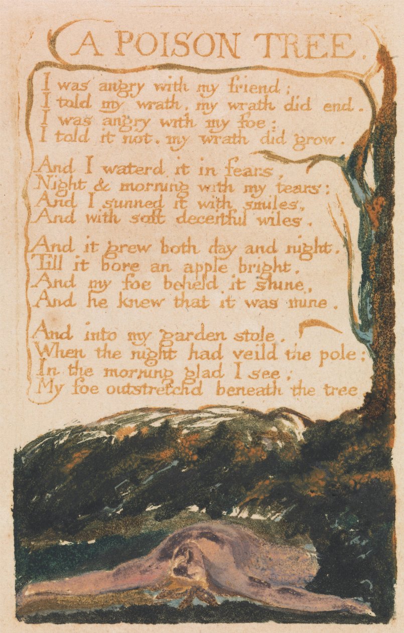 Sange om uskyld og om erfaring, plade 41, "A Poison Tree" (Bentley 49) af William Blake