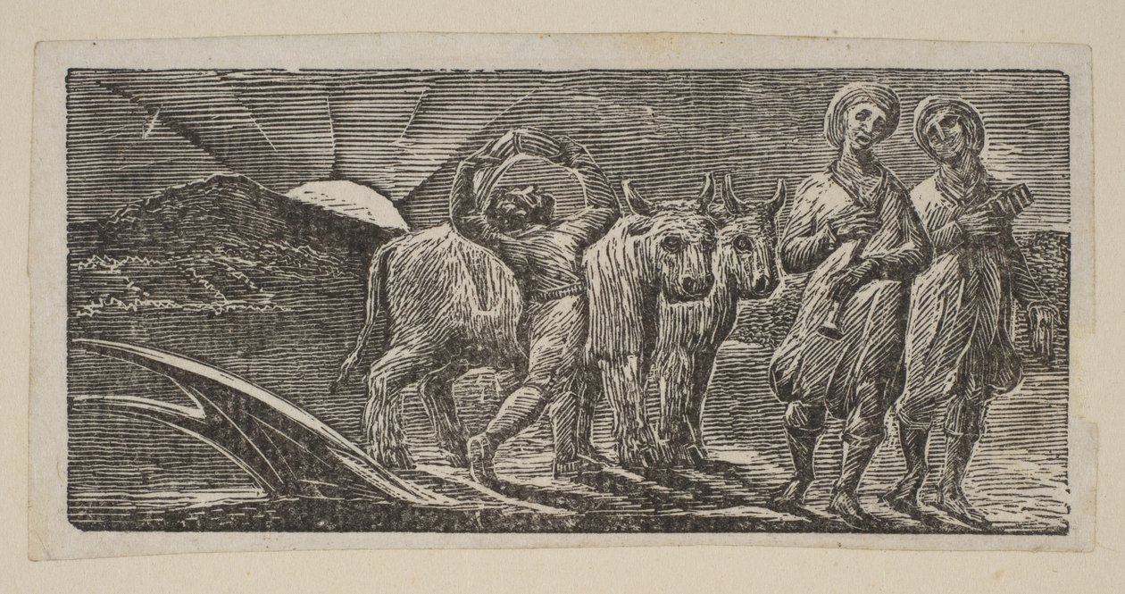 Dreng vender glædeligt tilbage, med plov og okser, fra Thorntons Pastorals of Virgil, 1821. af William Blake