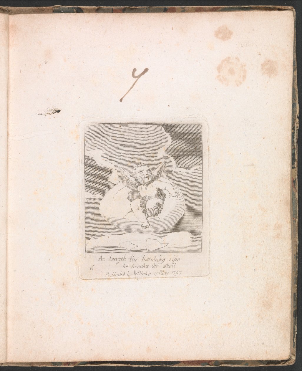 For børn. Paradisets porte, plade 8, Langt om at klække modne bryder han skallen af William Blake