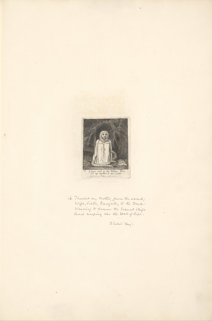 For kønnene- Paradisets porte, plade 18, har jeg sagt til ormen. . . . af William Blake