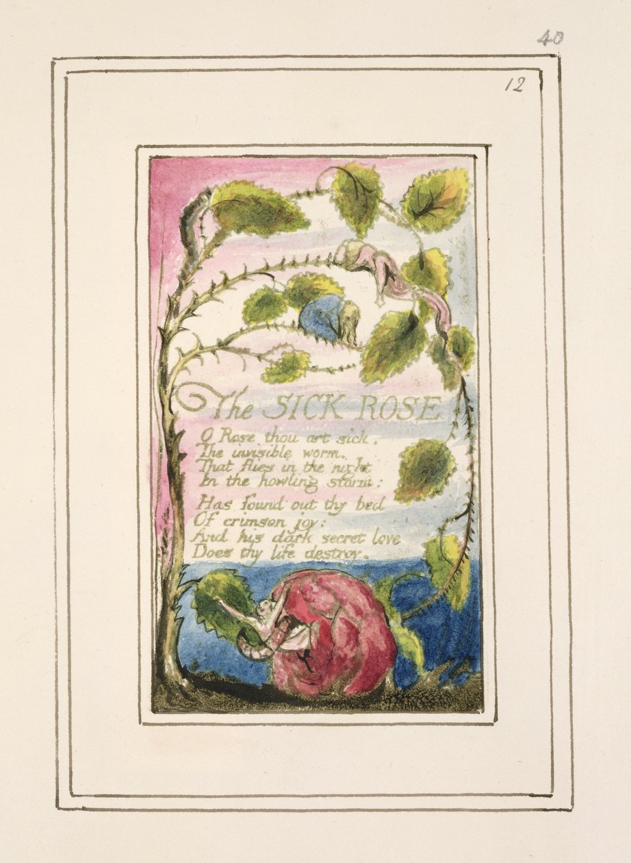 S.124-1950.pt40 Den syge rose: plade 40 fra 