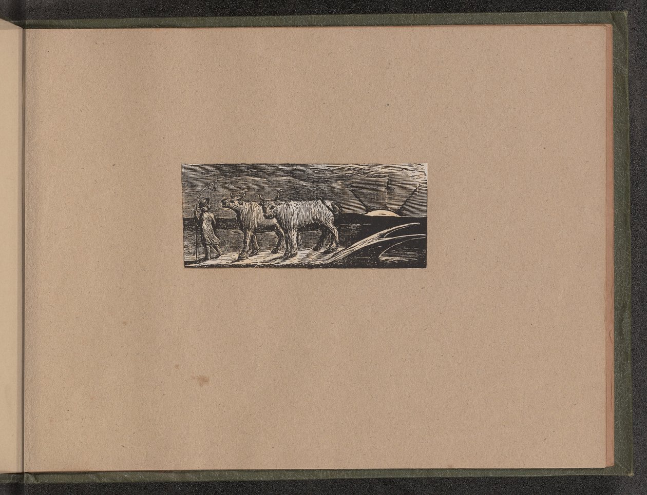 Hyrdens tilbagevenden af William Blake