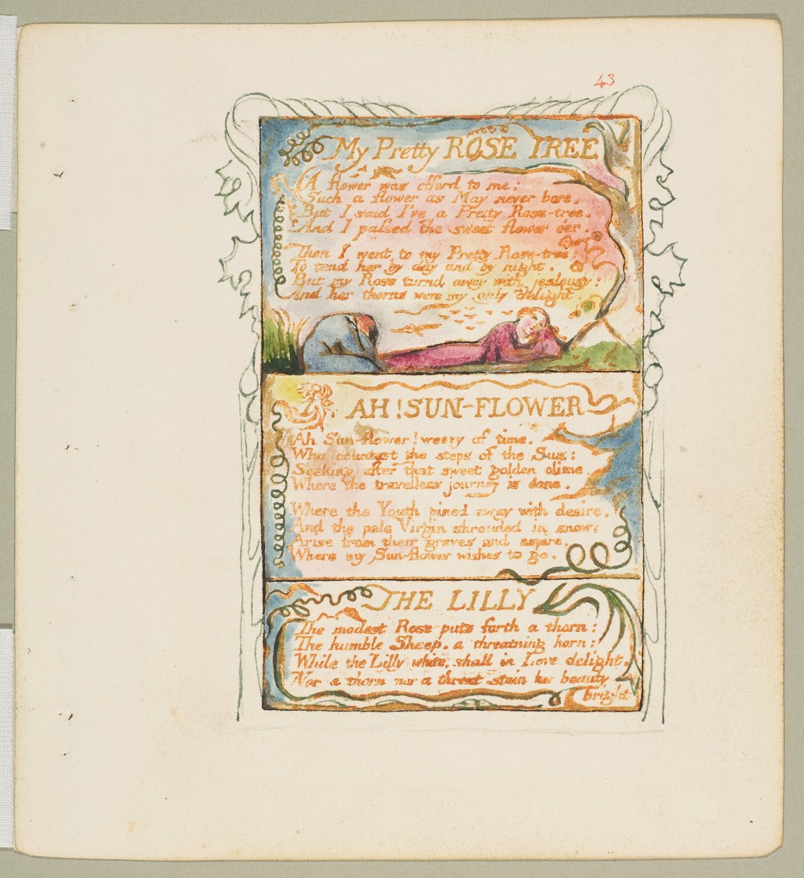 Sange om uskyld og om erfaring: Mit smukke rosentræ, Ah! Solblomst, Liljen, ca. 1825. af William Blake
