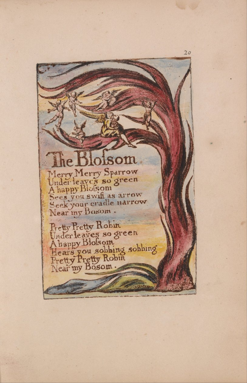 Songs of Innocence and of Experience, Plate 20, The Blossom (Bentley 11) af William Blake