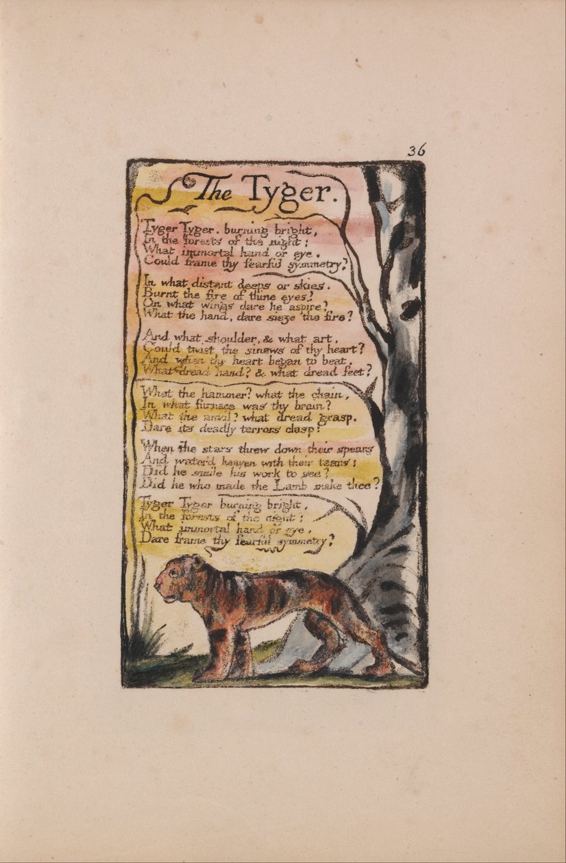 Songs of Innocence and of Experience, Plate 36, The Tyger (Bentley 42) af William Blake