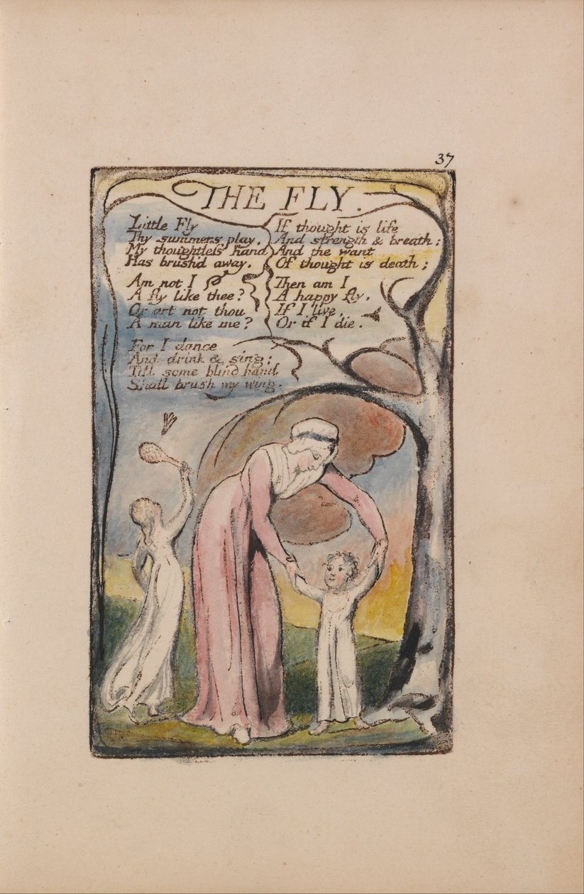 Sange om uskyld og erfaring, plade 37, flue (Bentley 40) af William Blake