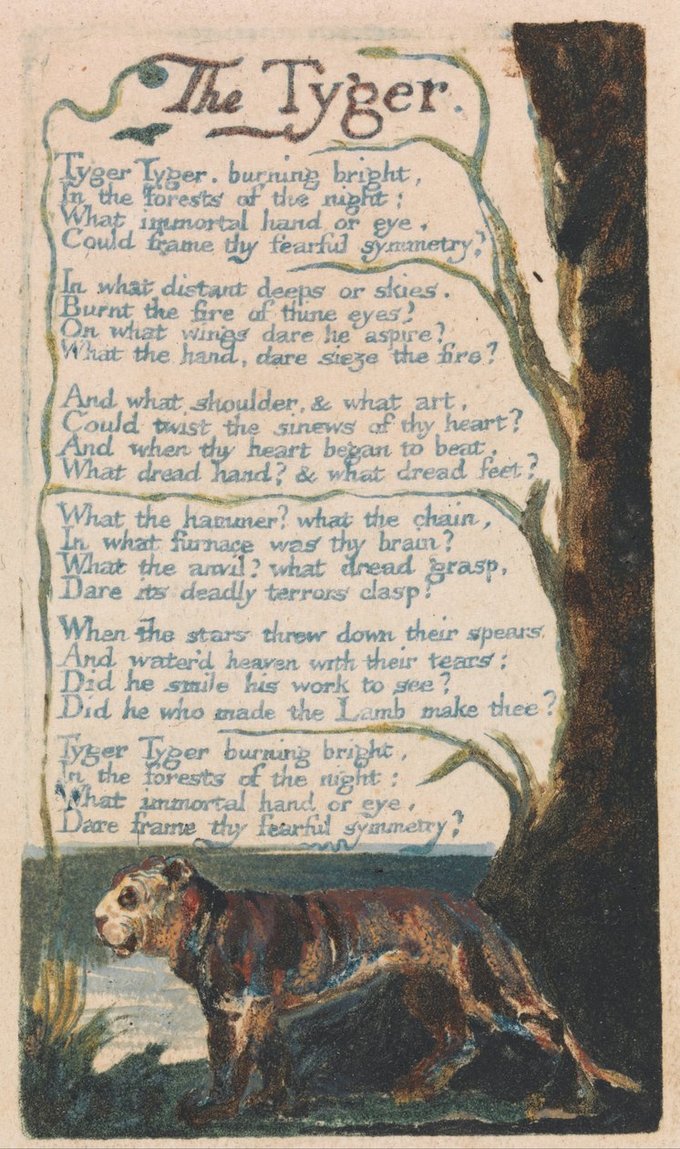 Songs of Innocence and of Experience, Plate 42, The Tyger (Bentley 42) af William Blake