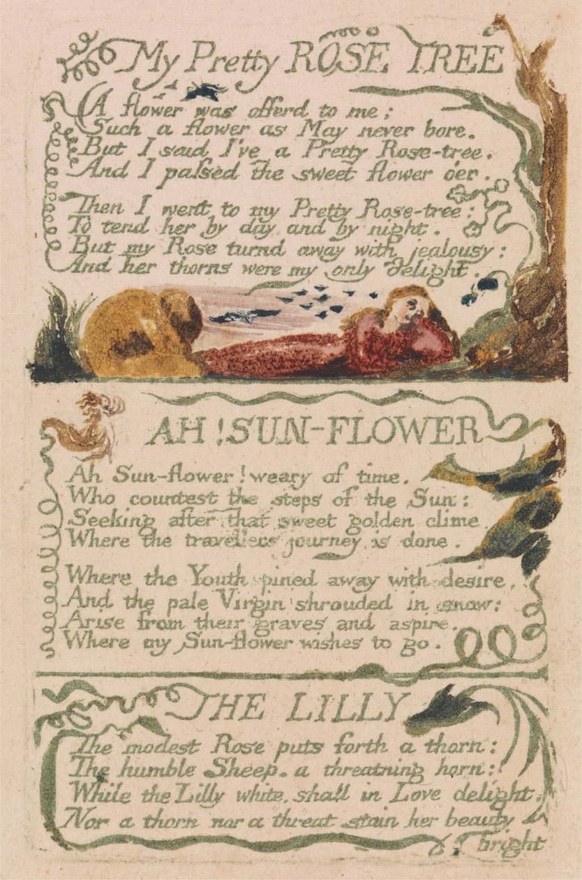 Songs of Innocence and of Experience, Plade 47, "My Pretty Rose Tree" (Bentley 43) af William Blake