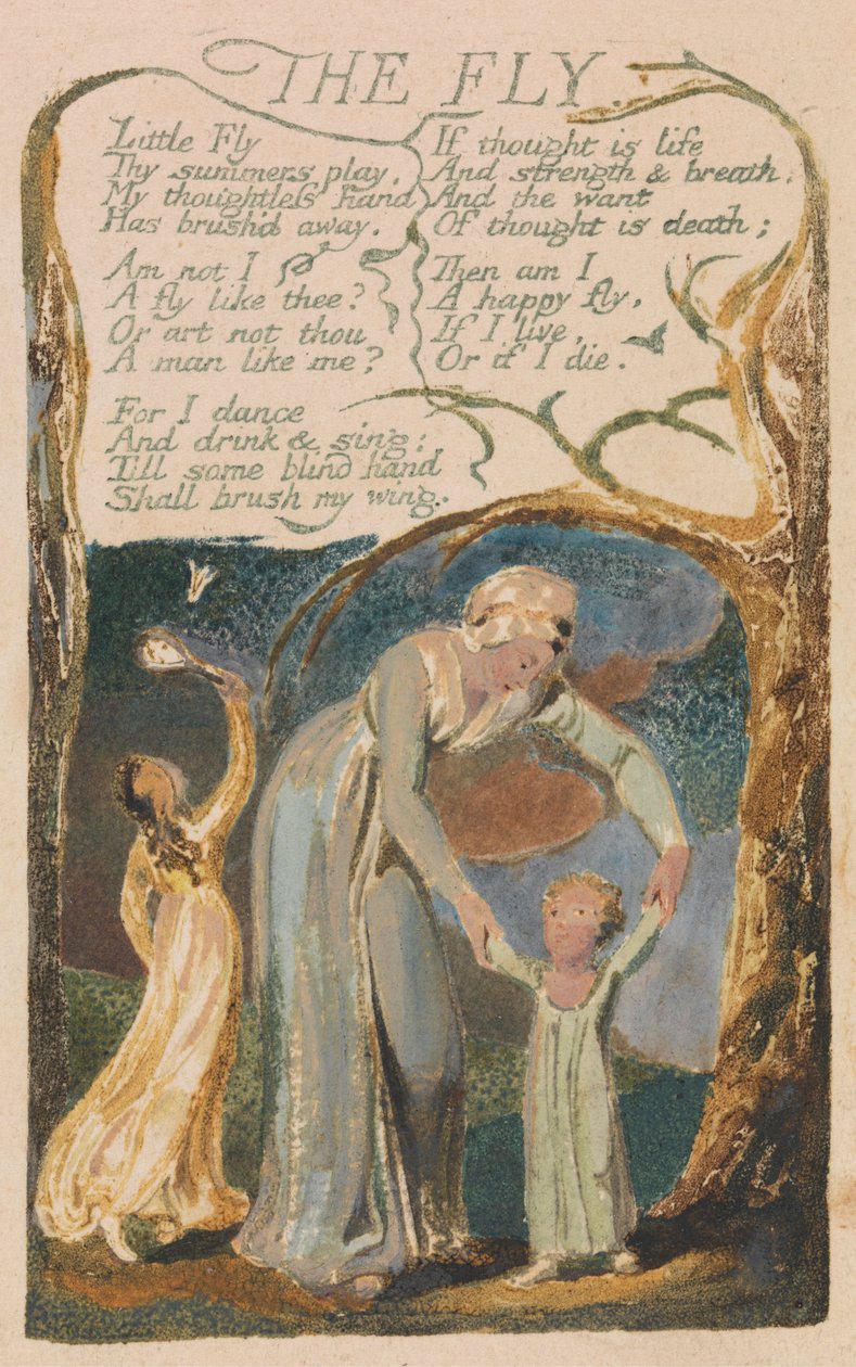 Sange om uskyld og om erfaring, plade 48, "The Fly" (Bentley 40) af William Blake