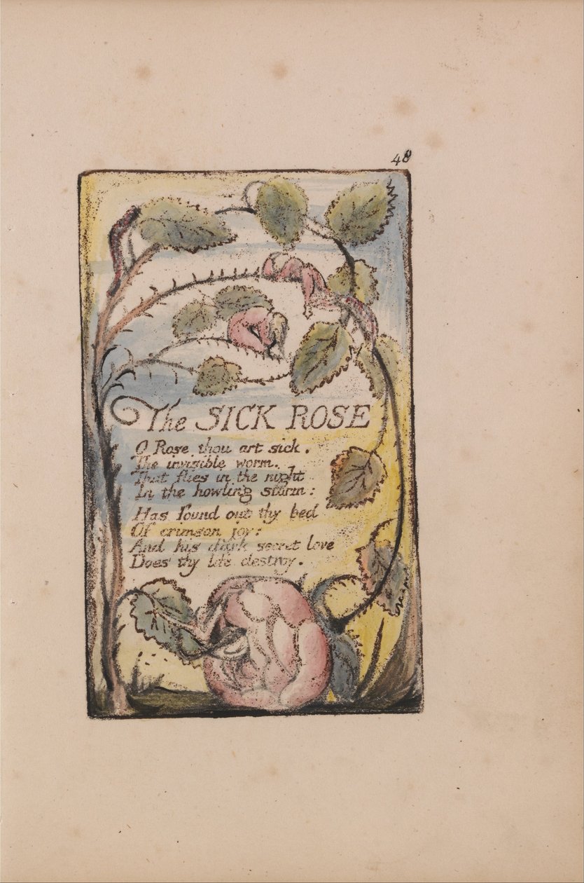 Sange om uskyld og erfaring, plade 48, Den syge rose (Bentley 39) af William Blake