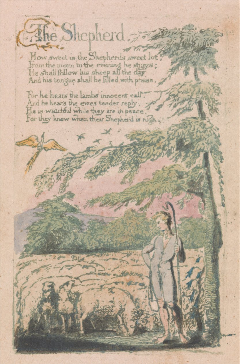Sange om uskyld og erfaring, plade 4, hyrden (Bentley 5) af William Blake