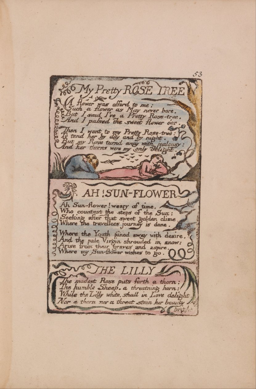 Sange om uskyld og erfaring, plade 53, mit smukke rosentræ, Ah! Solblomst, Lilly af William Blake