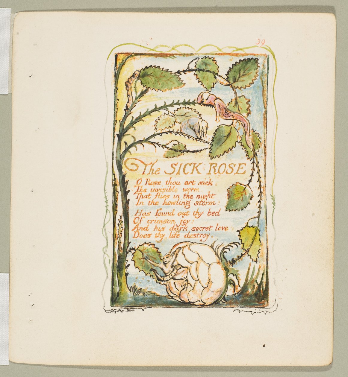 Sange om uskyld og erfaring: Den syge rose, ca. 1825. af William Blake