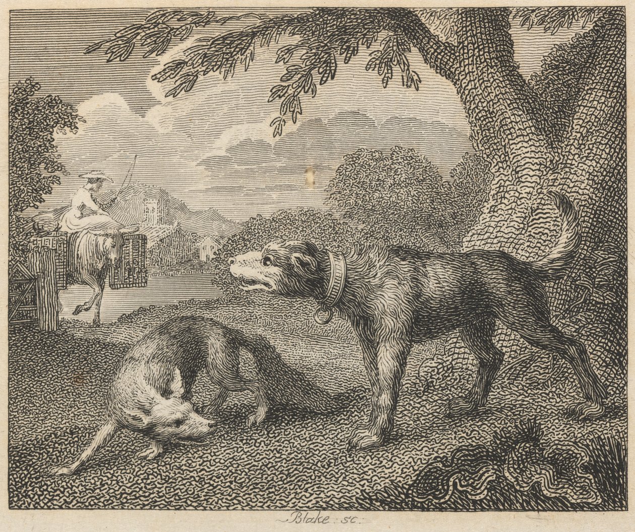 Hunden og Ræven af William Blake