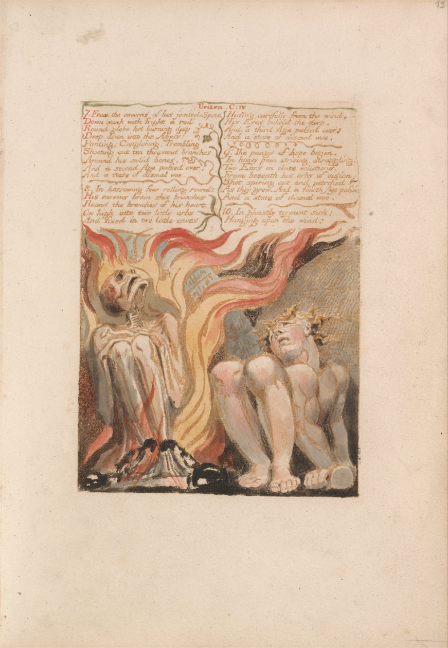 Urizens første bog, plade 14, 7. Fra hulerne i hans leddelte rygsøjle.... (Bentley 11) af William Blake
