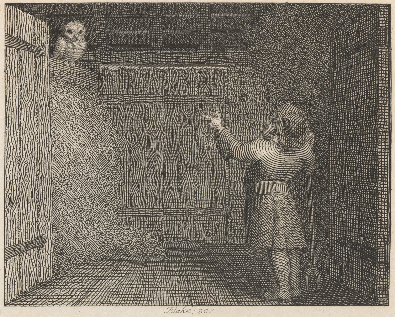 Uglen og Bonden af William Blake