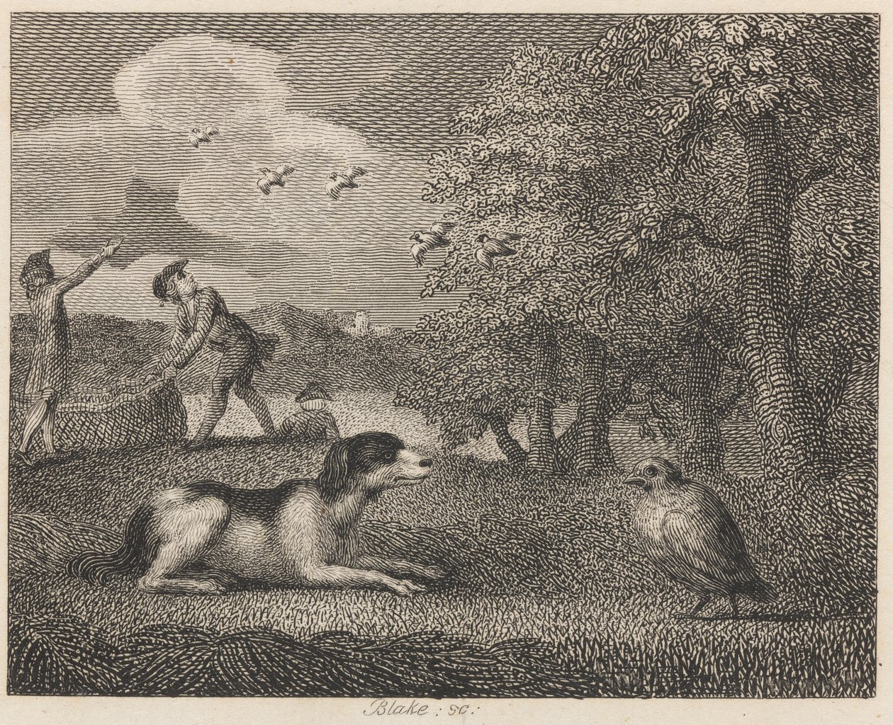 Settehunden og Agerhønen af William Blake